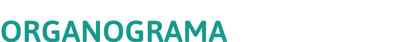 ORGANOGRAMA