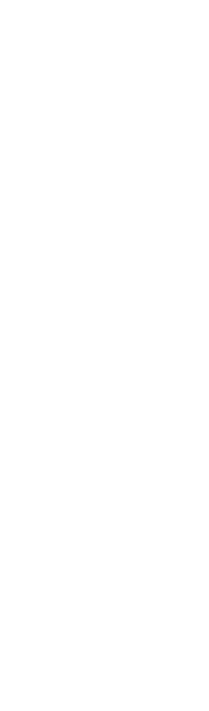 atendimento para que cada singular tenha o agente de controle interno exclusivo, garantindo a confiabilidade e a efic   