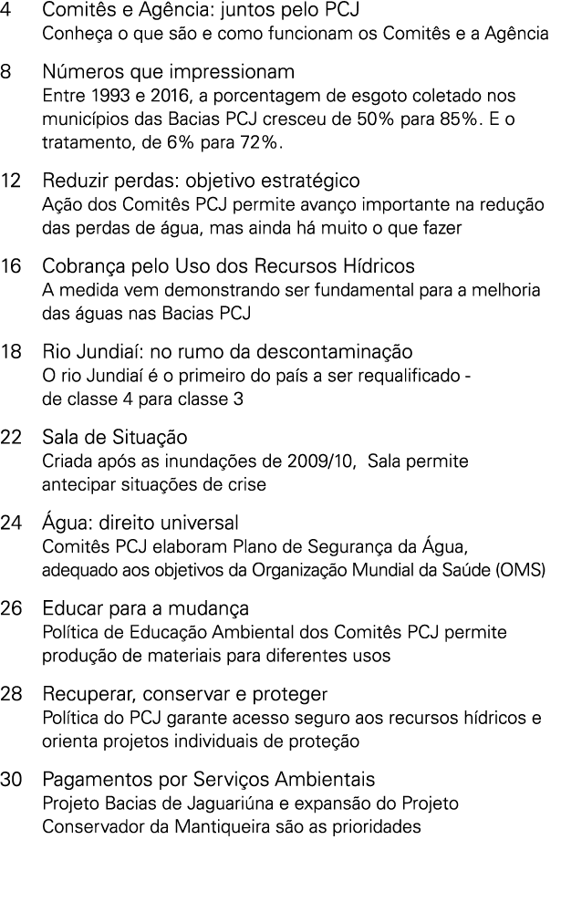 4 Comit s e Ag ncia  juntos pelo PCJ Conhe a o que s o e como funcionam os Comit s e a Ag ncia 8 N meros que impressi   