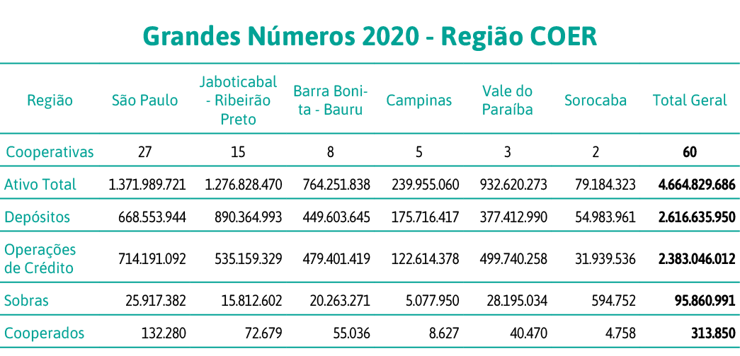 Grandes Números 2020 - Região COER,Região,São Paulo,Jaboticabal - Ribeirão Preto,Barra Bonita - Bauru,Campinas,Vale d   