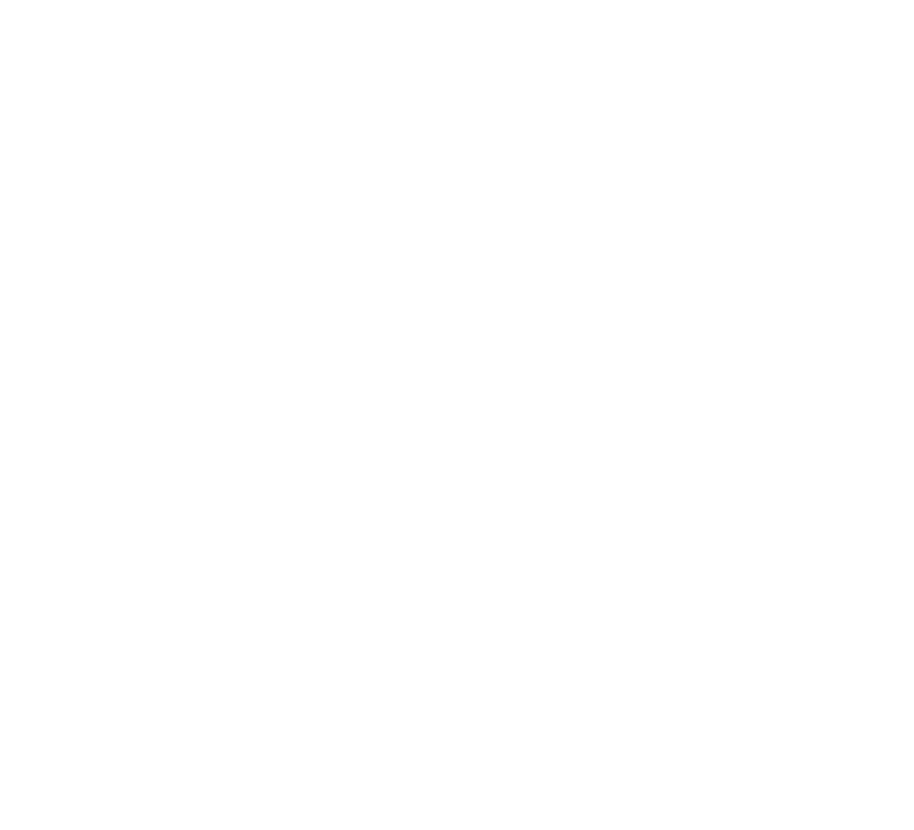 Pareceres da Auditoria Independente e do Conselho Fiscal