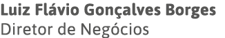 Luiz Flávio Gonçalves Borges Diretor de Negócios