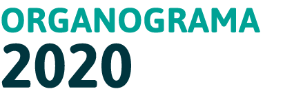 Organograma 2020