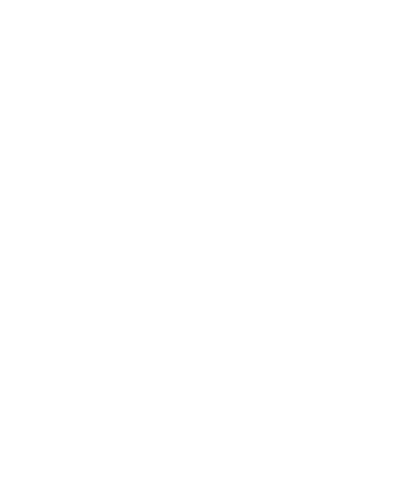 Vanderli Figueroa Castanon Assessora Comercial  Marcus Vinicius Caldas de Brito Assessor Comercial  Gabriel Moura da    