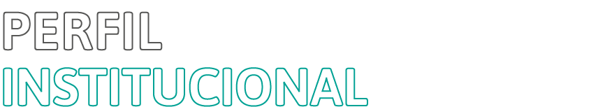 perfil institucional