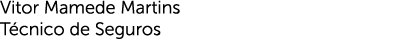 Vitor Mamede Martins Técnico de Seguros