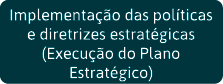 Implementação das políticas e diretrizes estratégicas (Execução do Plano Estratégico) 