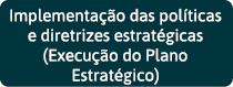 Implementação das políticas e diretrizes estratégicas (Execução do Plano Estratégico) 