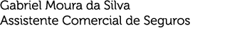 Gabriel Moura da Silva Assistente Comercial de Seguros