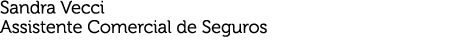 Sandra Vecci Assistente Comercial de Seguros 