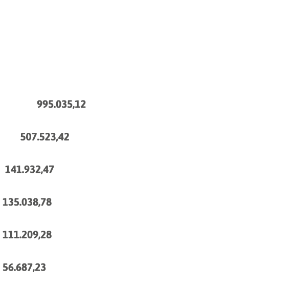         8 900 355,17      3 416 508,40  2 519 169,41  995 035,12     507 523,42  141 932,47  135 038,78  111 209,28     